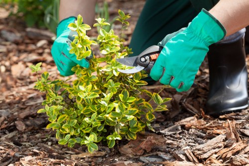 Gardening team preparing for a man and van run in Shoreditch