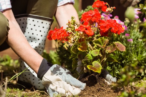 Gardener demonstrating tool use to a visitor near a vegetable patch