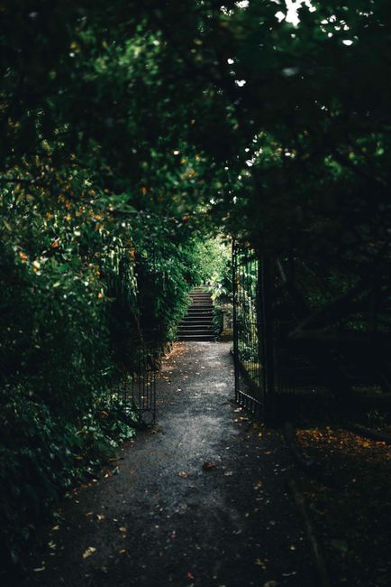 A narrow garden pathway with a gravel surface, flanked by dense, lush green foliage and tall trees creating a canopy overhead. The scene features an iron gate partially open on the right side, leading
